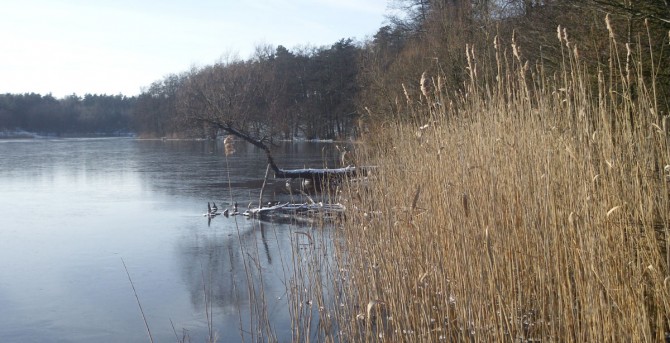 Jezioro Bielińskie